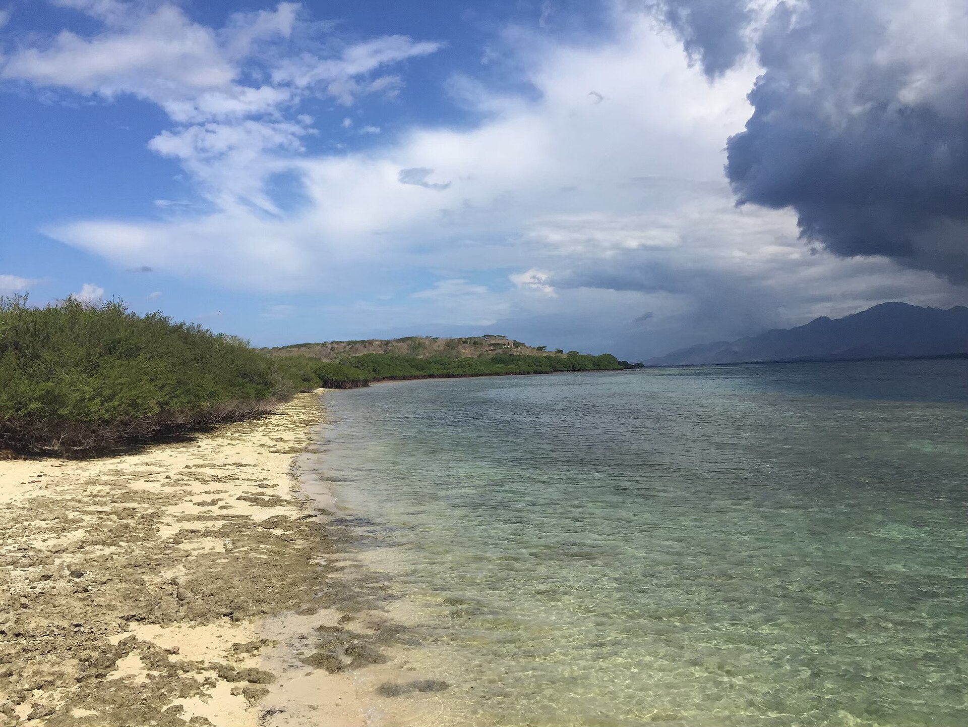 Tabuhan – Menjangan Island — Open Trip